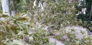 Forti raffiche di vento, aggiornamento viabilità ore 08.00. Evitare al massimo gli spostamenti