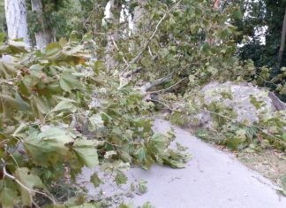 Forti raffiche di vento, aggiornamento viabilità ore 08.00. Evitare al massimo gli spostamenti