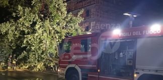 Vento forte, Ravenna: Alberi abbattuti in diverse zone della città e del forese. In azione i Vigili del fuoco