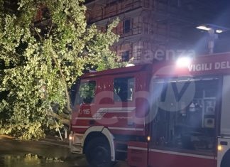 Vento forte, Ravenna: Alberi abbattuti in diverse zone della città e del forese. In azione i Vigili del fuoco