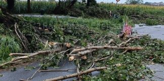 Forti raffiche di vento, aggiornamento viabilità: Ravegnana riaperta