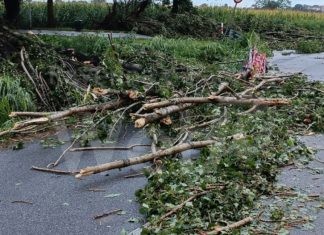 Forti raffiche di vento, aggiornamento viabilità: Ravegnana riaperta