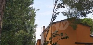 De Pascale: alberi caduti nel cortile della scuola dell’infanzia di Filetto | FOTO