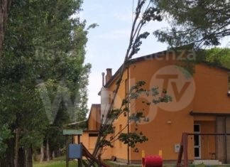De Pascale: alberi caduti nel cortile della scuola dell’infanzia di Filetto | FOTO