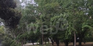 Maltempo, interruzione della linea elettrica nel forese sud. Aggiornamento ore 9.15