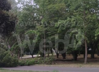 Maltempo, interruzione della linea elettrica nel forese sud. Aggiornamento ore 9.15