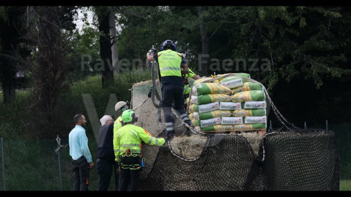 Foto_Emilcap_001_-_Donazione_mangimi_Romagna