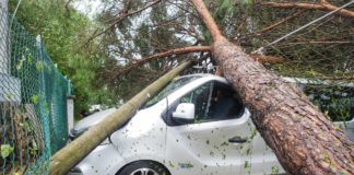 Danni dopo il forte temporale in tutta la provincia: alberi caduti e anche grandine