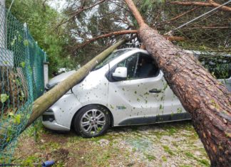 Danni dopo il forte temporale in tutta la provincia: alberi caduti e anche grandine