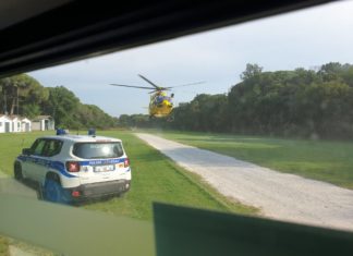 Azzannata al volto da un cane. 85enne finisce all’ospedale