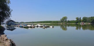 Distretto del fiume Po: disponibilità di risorsa idrica in linea con i valori del periodo