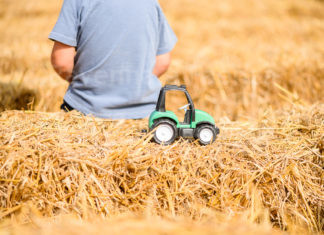 Cotignola: all’alba in un campo di grano per costruire l’Arena delle balle di paglia