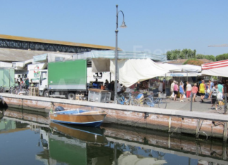 Cervia: al mercato del giovedì in Piazza Costa distribuzione gratuita di larvicida contro le zanzare
