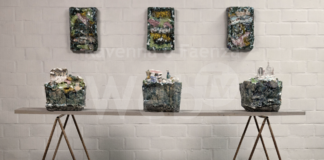 62° Premio Faenza, al via da domani le visite guidate