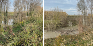 Ancisi (LpRa): “Sponde del Lamone allo sbando a Mezzano. L’ infuocata assemblea pubblica”