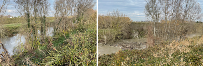 Schermata 2023-07-17 alle 14.54.12