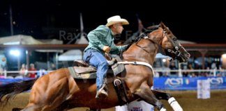 Gara di barrell racing e pole bending al centro ippico “Cavallo Felice”