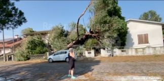 Zone senza luce e strade chiuse: al lavoro i tecnici dopo la tromba d’aria