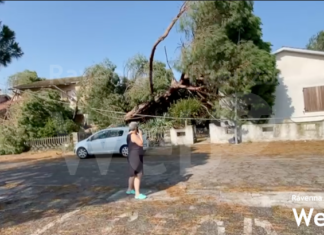 Maltempo: Bonaccini, chiederemo stato emergenza nazionale