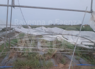 Maltempo, Alfonsine: 600 abitazioni danneggiate, danni alle attività produttive per oltre 20 milioni di euro