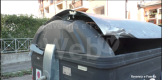 Degrado, erbacce, marciapiedi e alberi pericolosi, cassonetti rotti a Fornace Zarattini