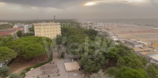 Albero cade sul treno in transito. Ferito un passeggero