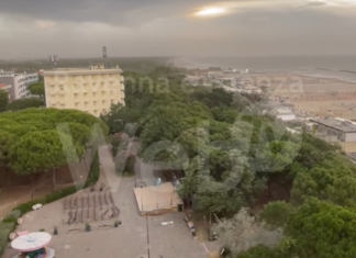 Albero cade sul treno in transito. Ferito un passeggero
