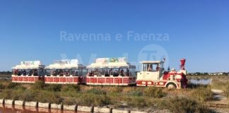 Ripartono le escursioni in trenino alla Salina di Cervia