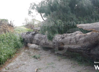 Aggiornamento fortunale ore 9,30