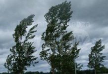 Protezione civile, allerta meteo gialla per criticità costiera