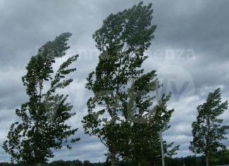 Protezione civile, 24 ore di allerta meteo gialla per vento