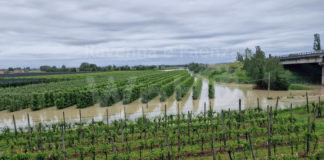 Mastacchi (Rete Civica): “Alluvione, indennizzi alle aziende agricole solo per danni catastrofici”