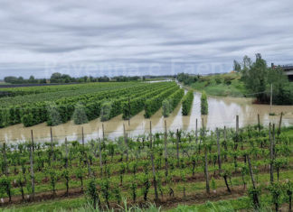 Alluvione: dal Consiglio dei Ministri 149 milioni di euro per le imprese