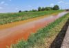 Acqua rossa nel canale di Fosso Ghiaia, Arpae e Comune: causa le alghe | FOTO