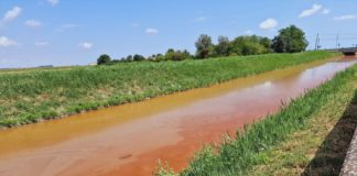 Acqua rossa nel canale di Fosso Ghiaia, Arpae e Comune: causa le alghe | FOTO