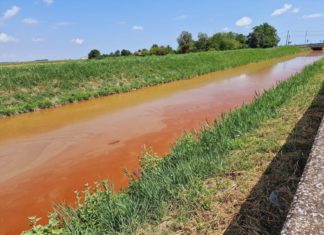 Acqua rossa nel canale di Fosso Ghiaia, Arpae e Comune: causa le alghe | FOTO
