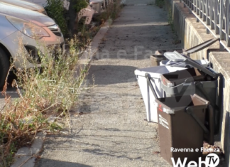 Grillini (Italia Viva) chiede di ripensare la raccolta differenziata: “Eliminare i bidoncini”