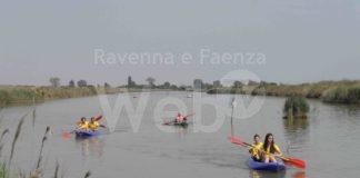 Da domani la settimana clou del Festival Naturae: “Animali selvatici di Classe e dove trovarli”