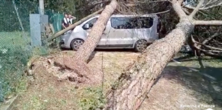 Danni causati dal temporale: Cervia la prossima settimana presenterà il report alla Regione
