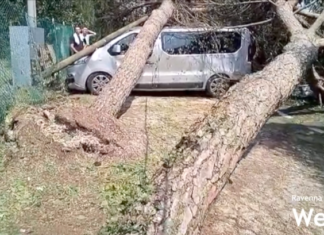Danni causati dal temporale: Cervia la prossima settimana presenterà il report alla Regione