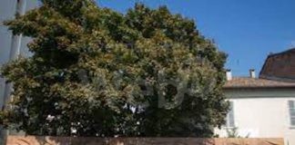 Visite guidate dei “Martedi d’estate”: Una carrellata di sculture, arredi e monumenti che rendono più bella Faenza