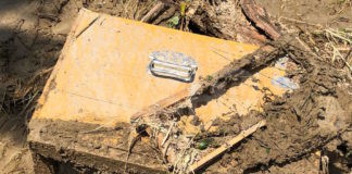 Dai giovani apicoltori di Coldiretti Ferrara arnie e famiglie di api per i colleghi ravennati