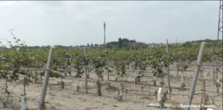 Situazione critica in agricoltura a due mesi dall’alluvione