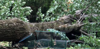 Fortunale luglio 2023, esenzione Tari per famiglie e imprese colpite: si può fare domanda fino a lunedì 1 luglio