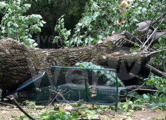 Trombe d’aria e grandinate: circa 29 milioni di danni solo ai beni pubblici, oltre 126 milioni agli edifici privati e 73 milioni alle attività produttive