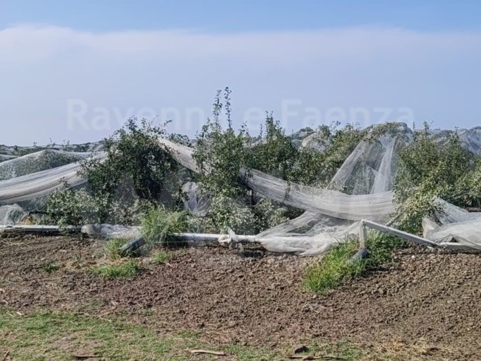 pereto_distrutto_massari