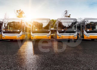 Autobus, a Ravenna su le immatricolazioni +250%