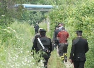 71enne trovato morto. Il pirata della strada si costituisce: “Pensavo di aver investito un animale”