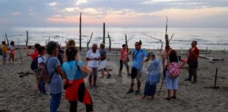 Festival Naturae: all’alba di lunedì passeggiata guidata in pineta