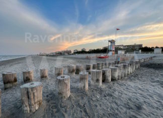 Una webcam documenterà la nascita delle tartarughe marine “Caretta Caretta”